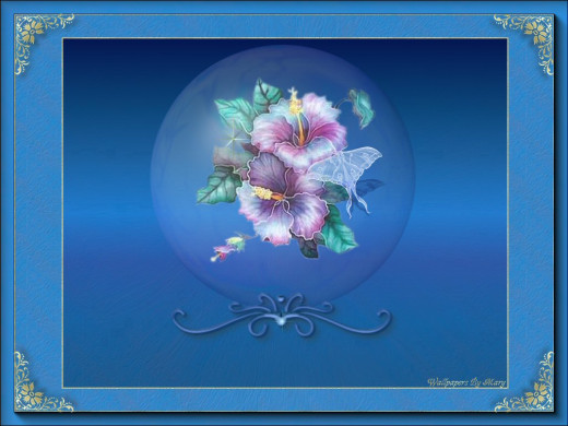 403817 (a): :1024x768